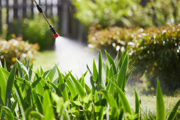 24/7 Emergency Wasp Removal experts in Osgood, IN