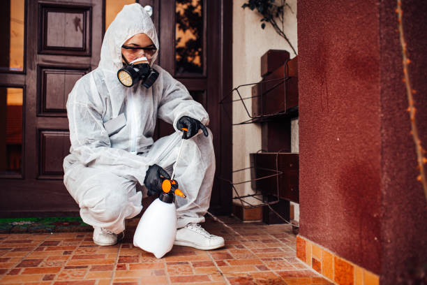 Reliable Wasp Removal contractor in Osgood, IN by Show Me Pest Control